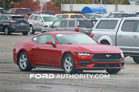 mustang celine|2024 Ford authority mustang.